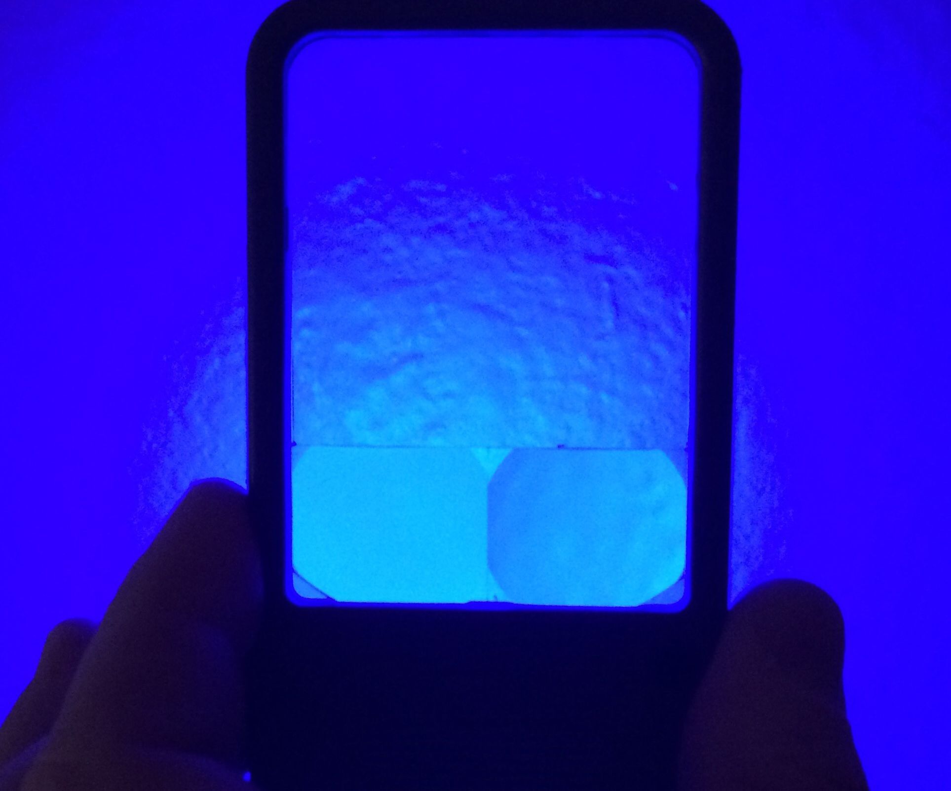 Pocket LED Woods Lamp Magnifier