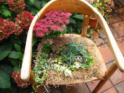 Then I Filled It With Compost and Put Flowers Into the Chair.