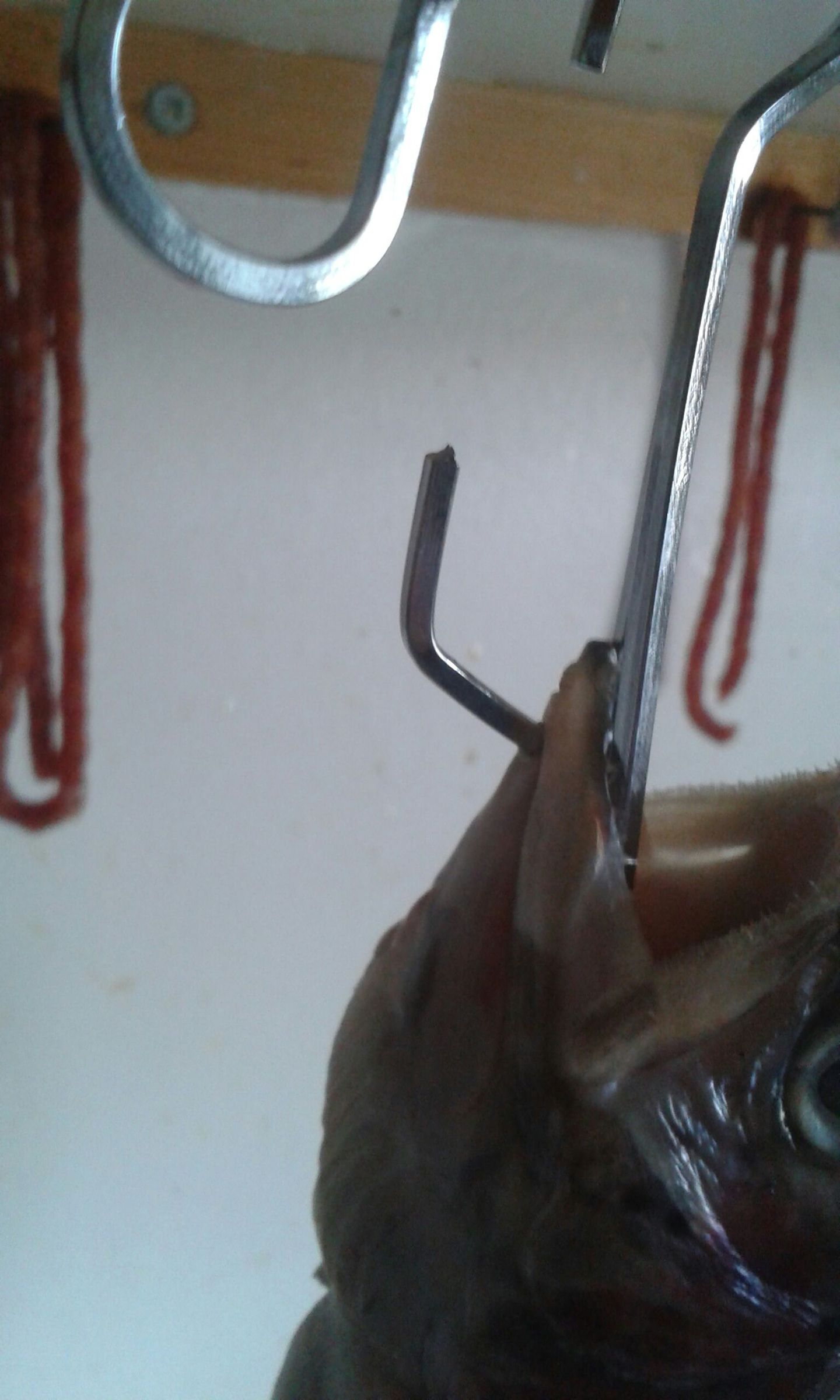 Fish Smoking Hook 10 Steps Instructables