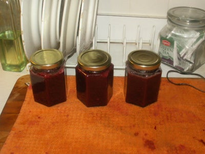 Sugarless Homemade Organic Raspberry Jelly Sweetened With Honey!