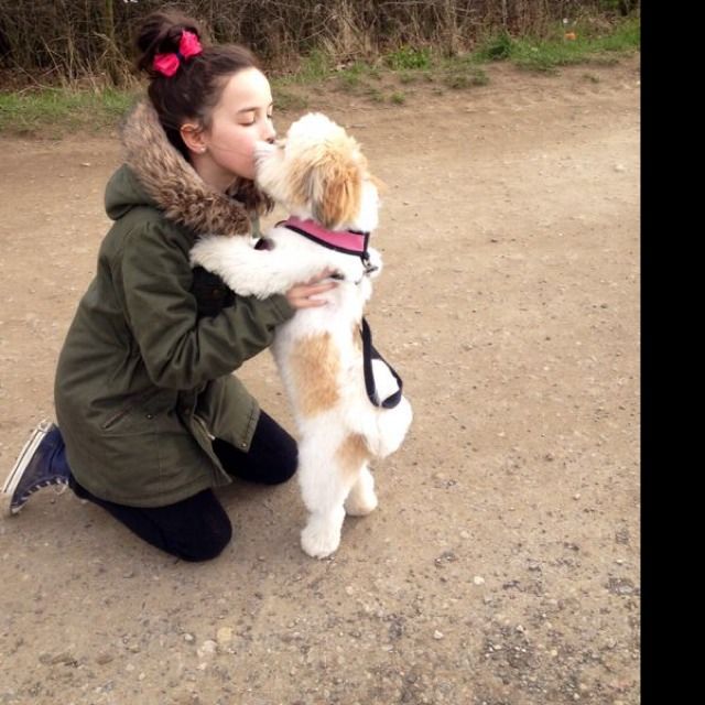 libbyw19