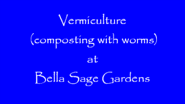 Vermicomposting (how to Compost With Worms)