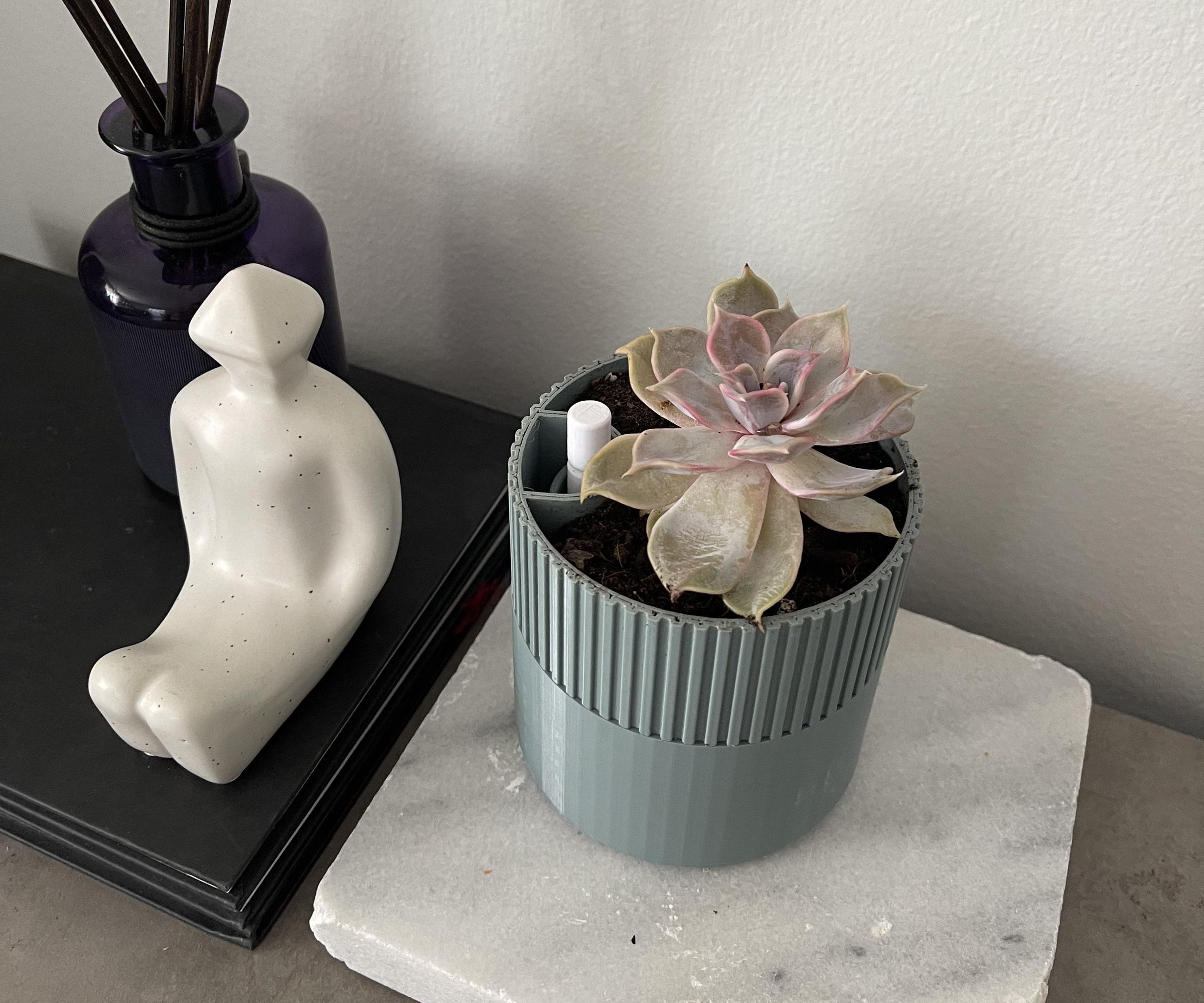 3D Printed Self-Watering Plant Pot for the RHS