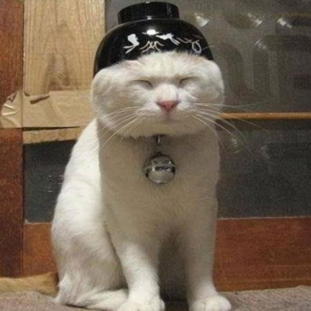 OldShotgunYoungShooter