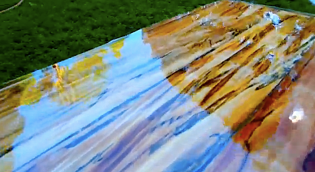 Gloss Coat Repurposed Spalted Tree Limb to Table RECLAIMED