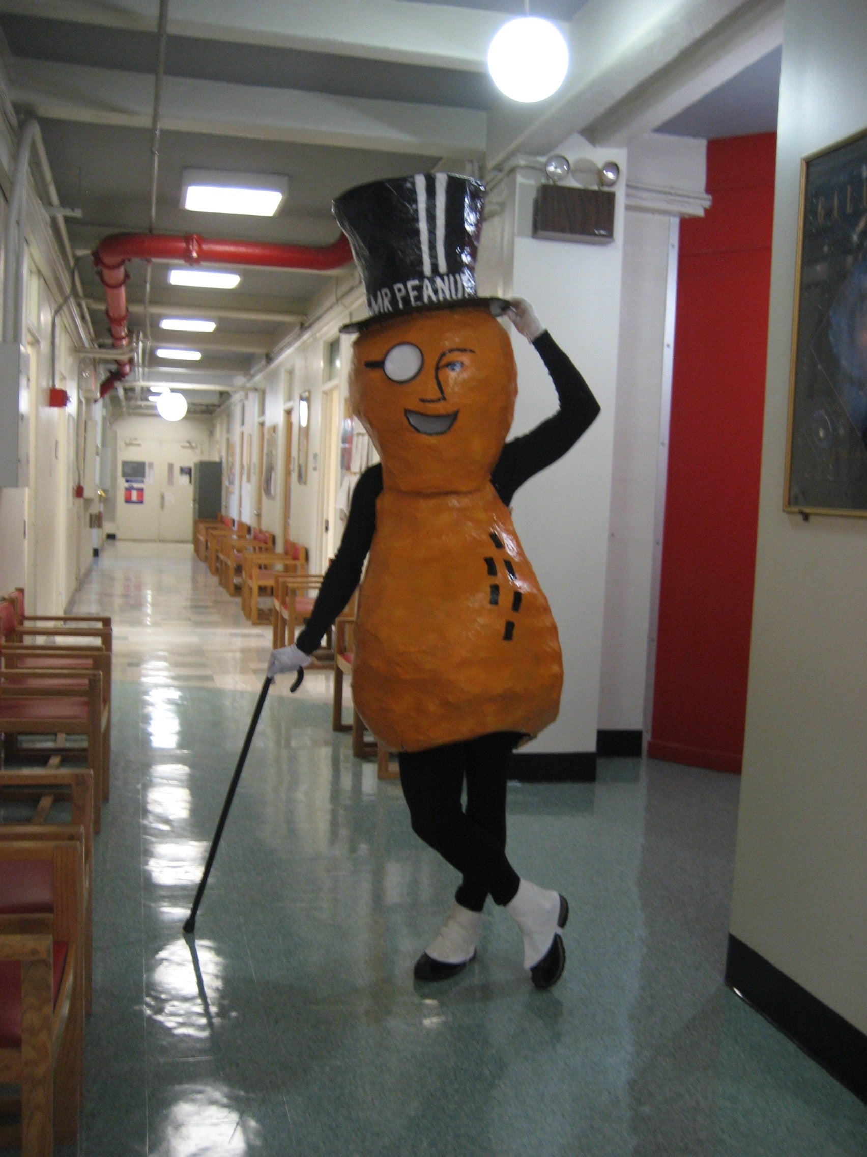 mr peanut costume