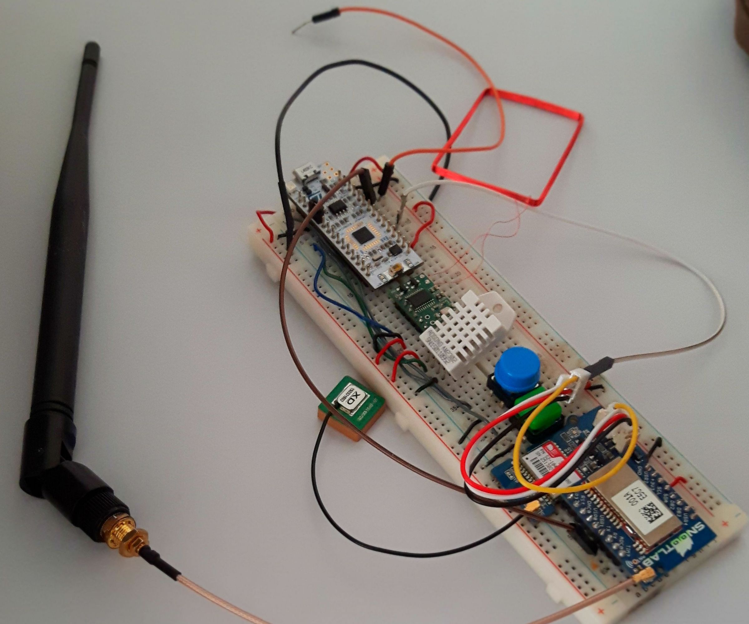 Orienteering Wristwatch