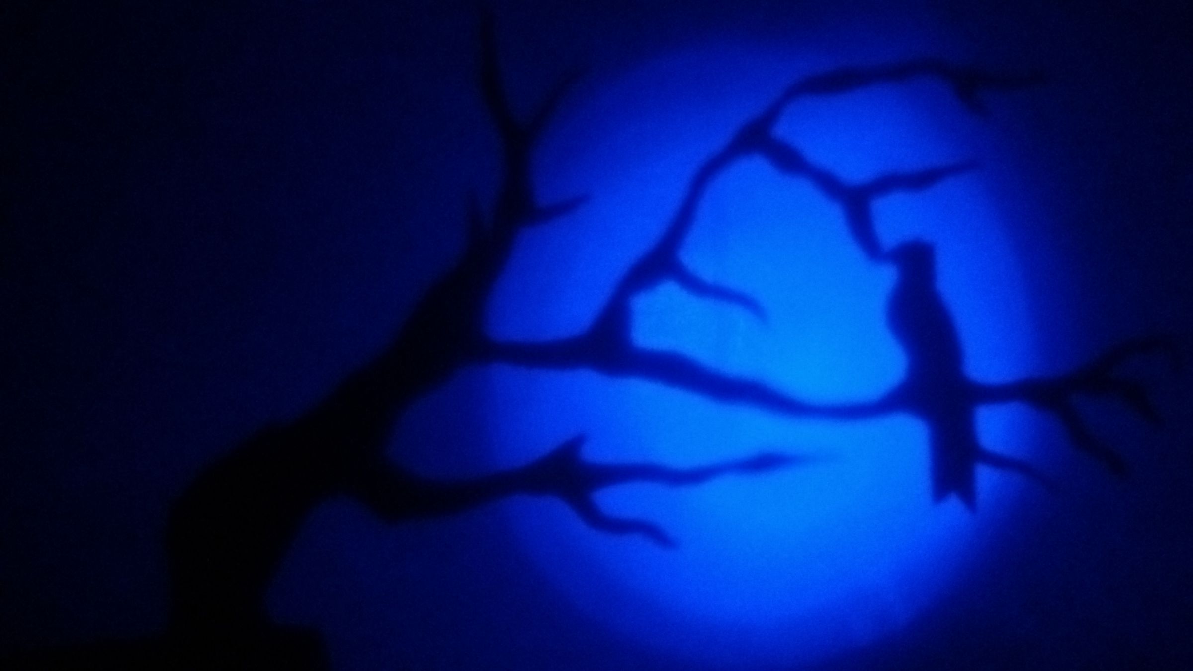 Wall Projections From Paper : 5 Steps (with Pictures) - Instructables