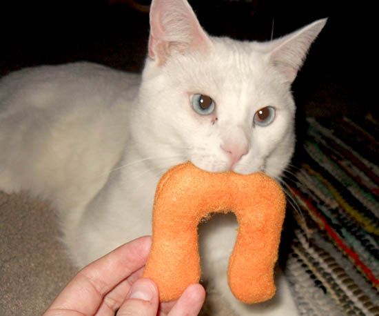 Plush-stache Catnip Toy