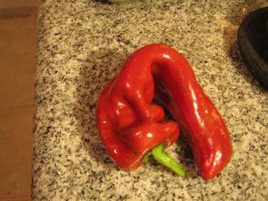 Ajvar: Balkan Pepper Spread!