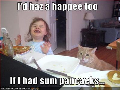LOLCATS