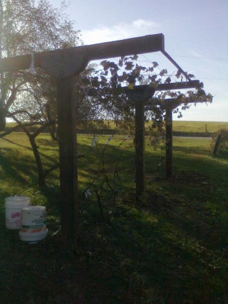 Build a Grape Trellis to Last a Lifetime : 7 Steps - Instructables