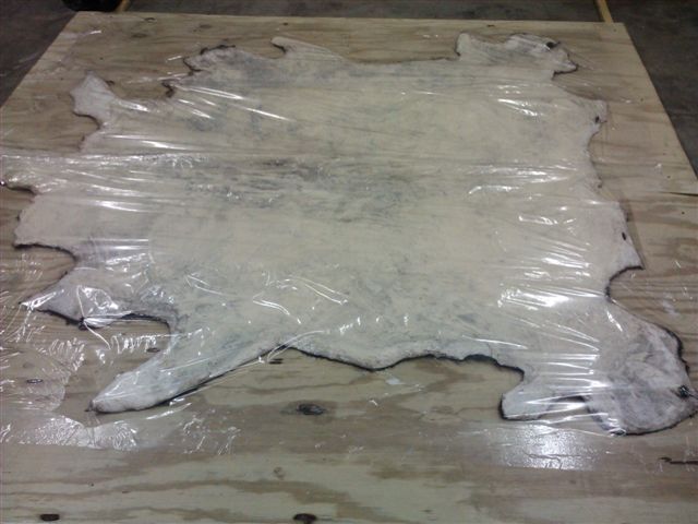 How to Tan and Make a Cow Hide Dress : 12 Steps (with Pictures ...