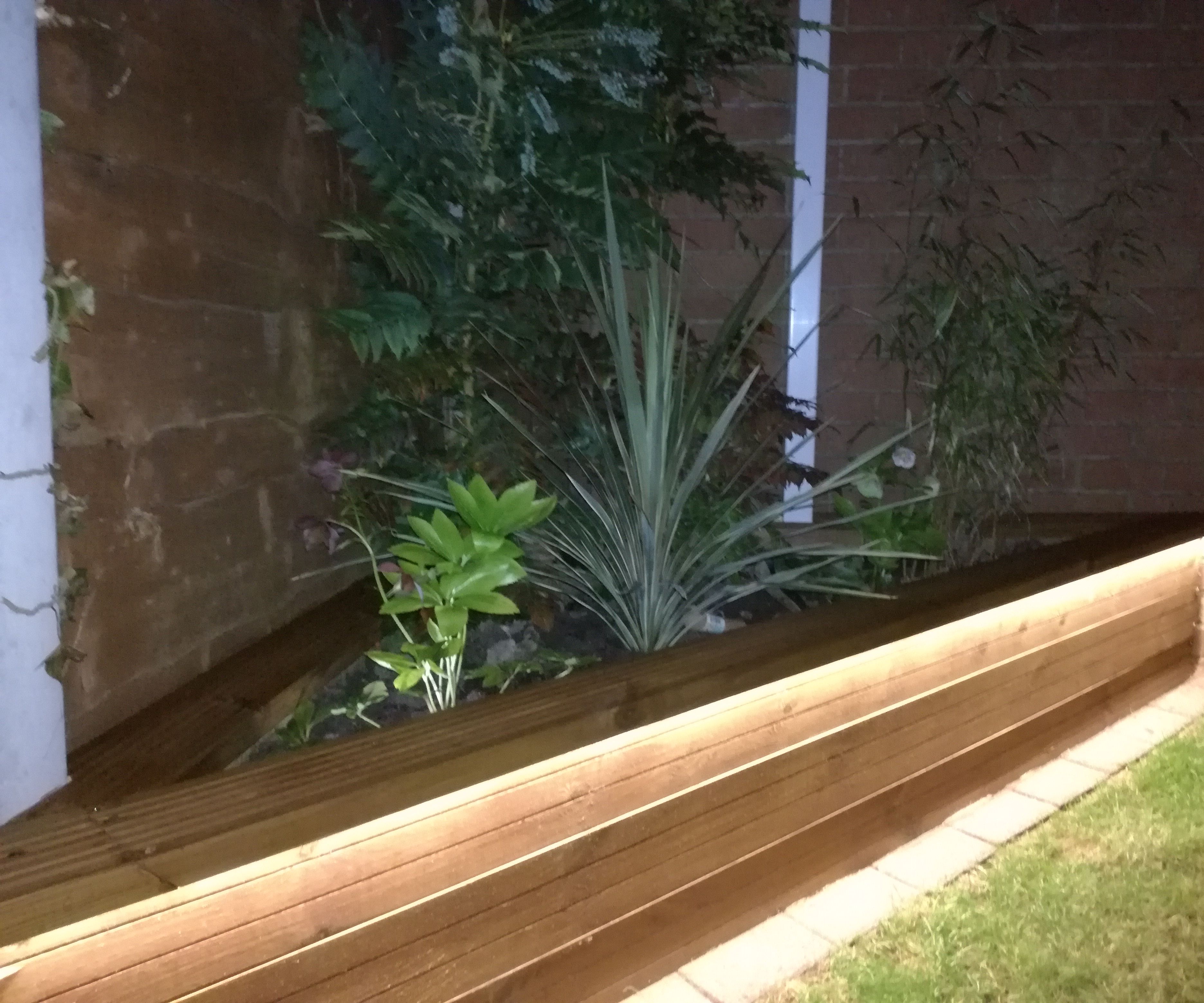 Garden Drainage and Redesign