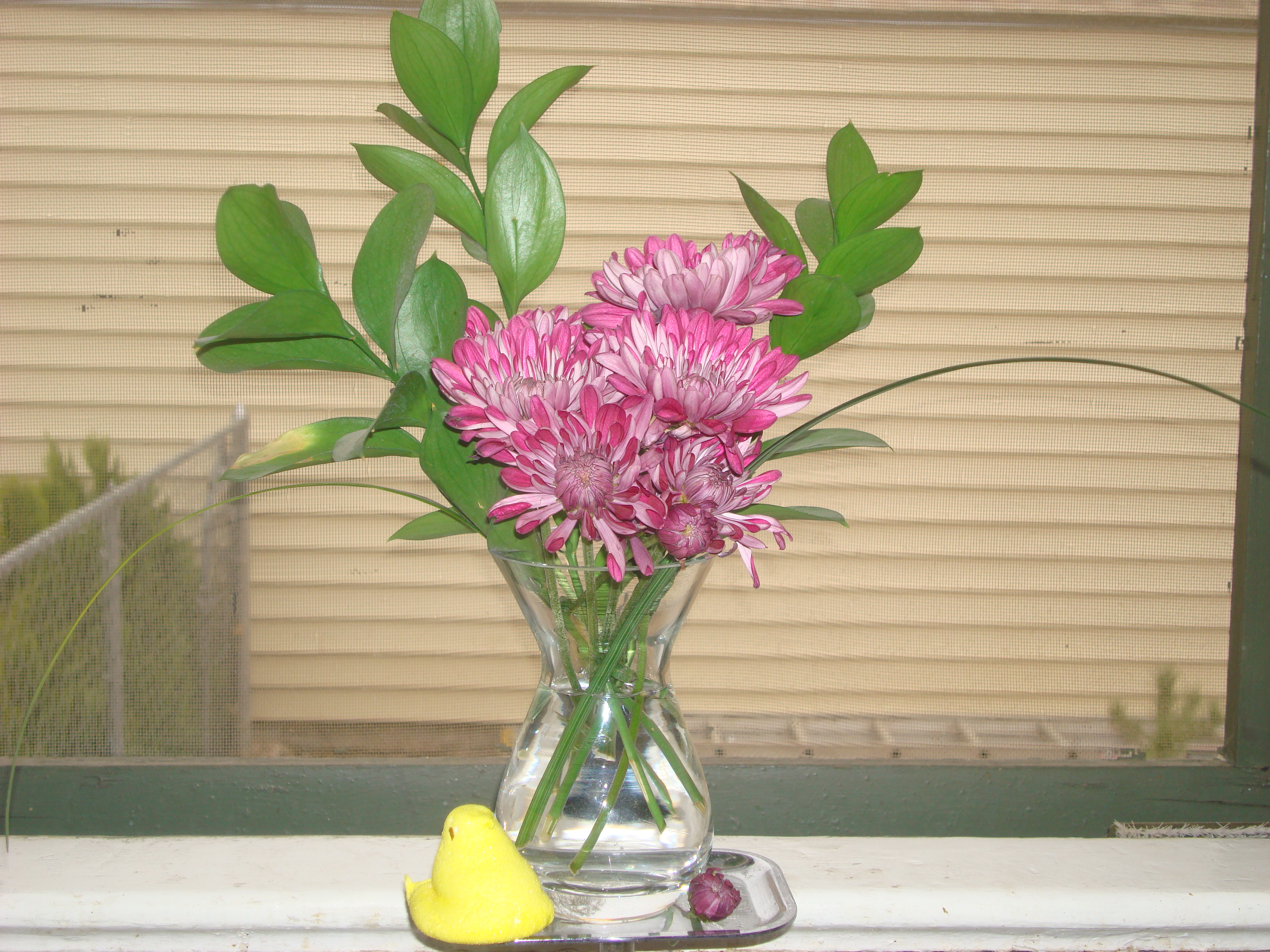 Fresh Cut Flower Preservative