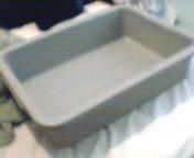 indoors planting/ starting.