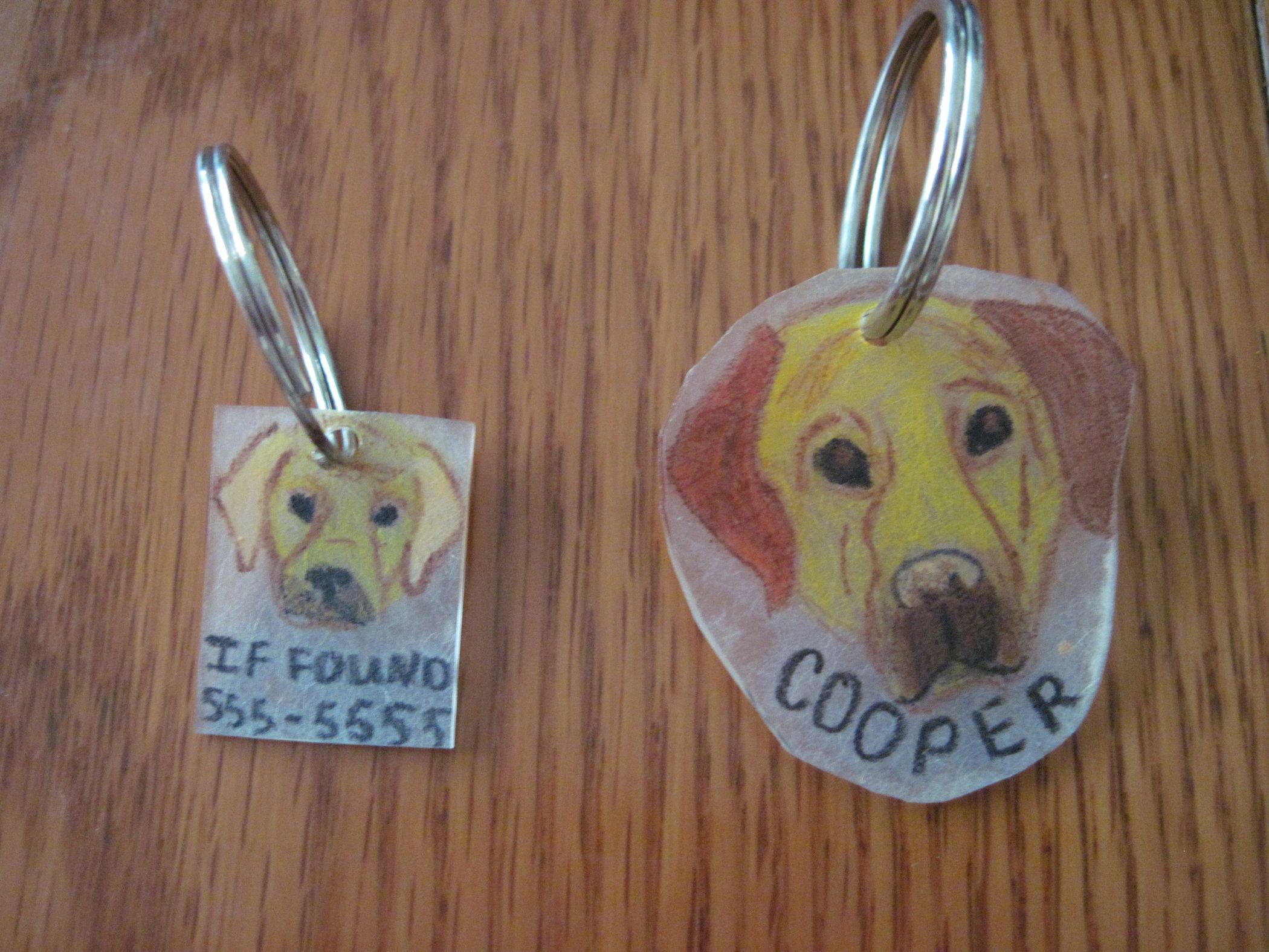 Pet Tags! 4 Steps Instructables