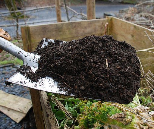 Compost 