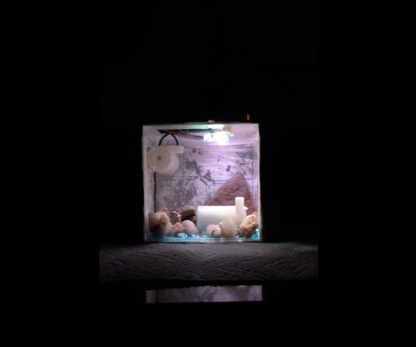 A Fish's Paradise: a Portable, Moving Aquarium for Tiny Fish