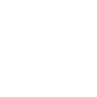 download {{ file.name }}