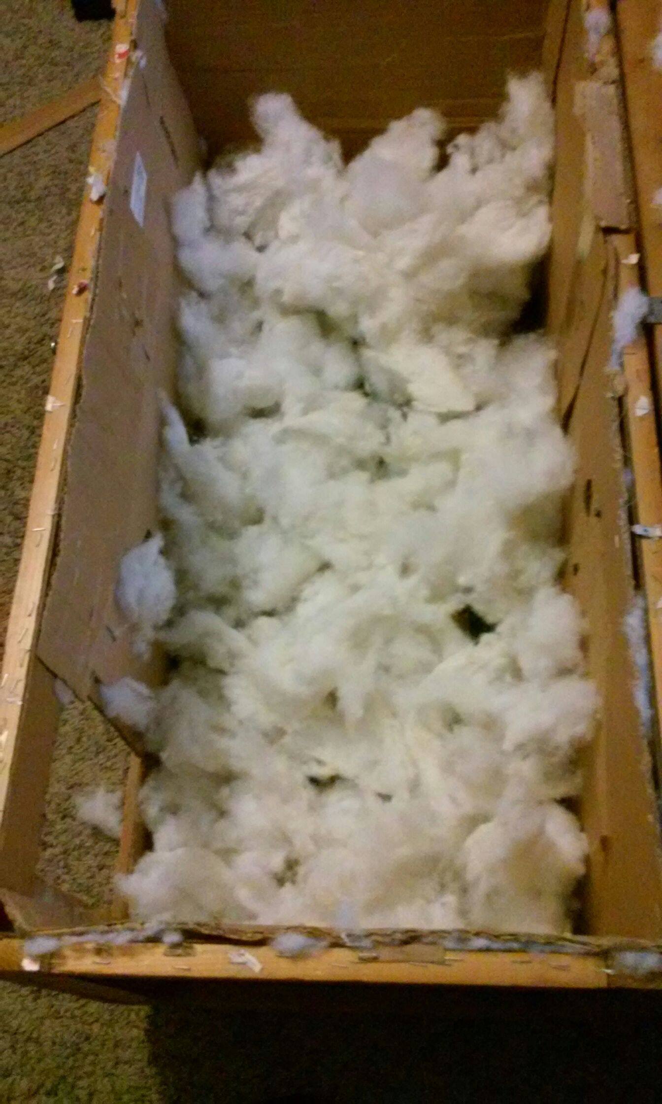 House for Stray Cats 7 Steps Instructables