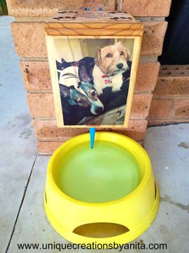 anti cat litter box PAWZ Road Enclosed 2 Ways Anti-splash Cat Litter Box