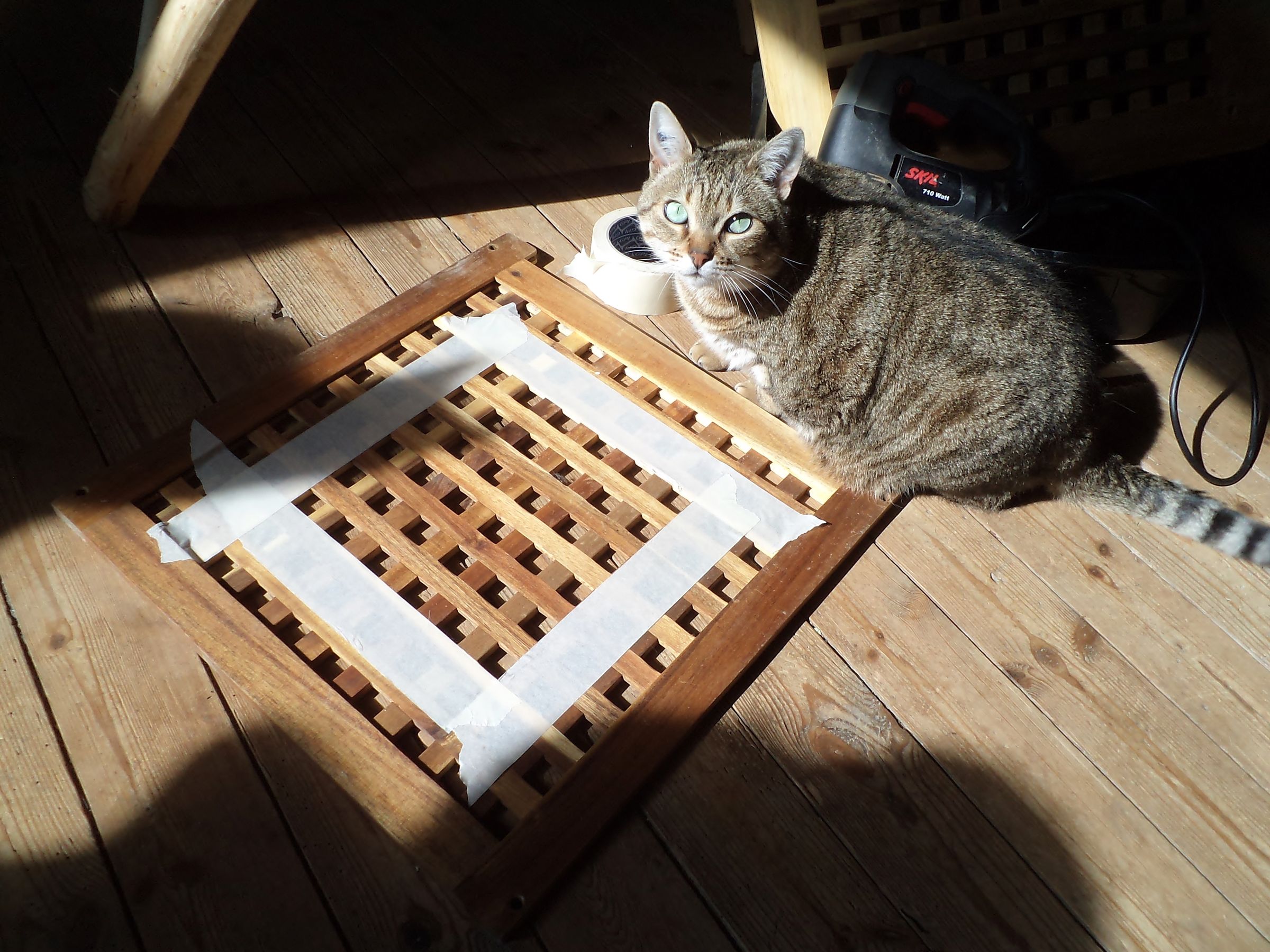 Elegant Ikea Hack Litterbox : 3 Steps (with Pictures) - Instructables