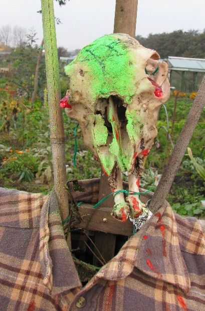 Scarecrow