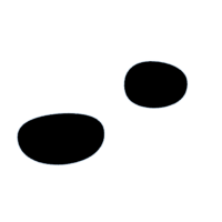 download {{ file.name }}