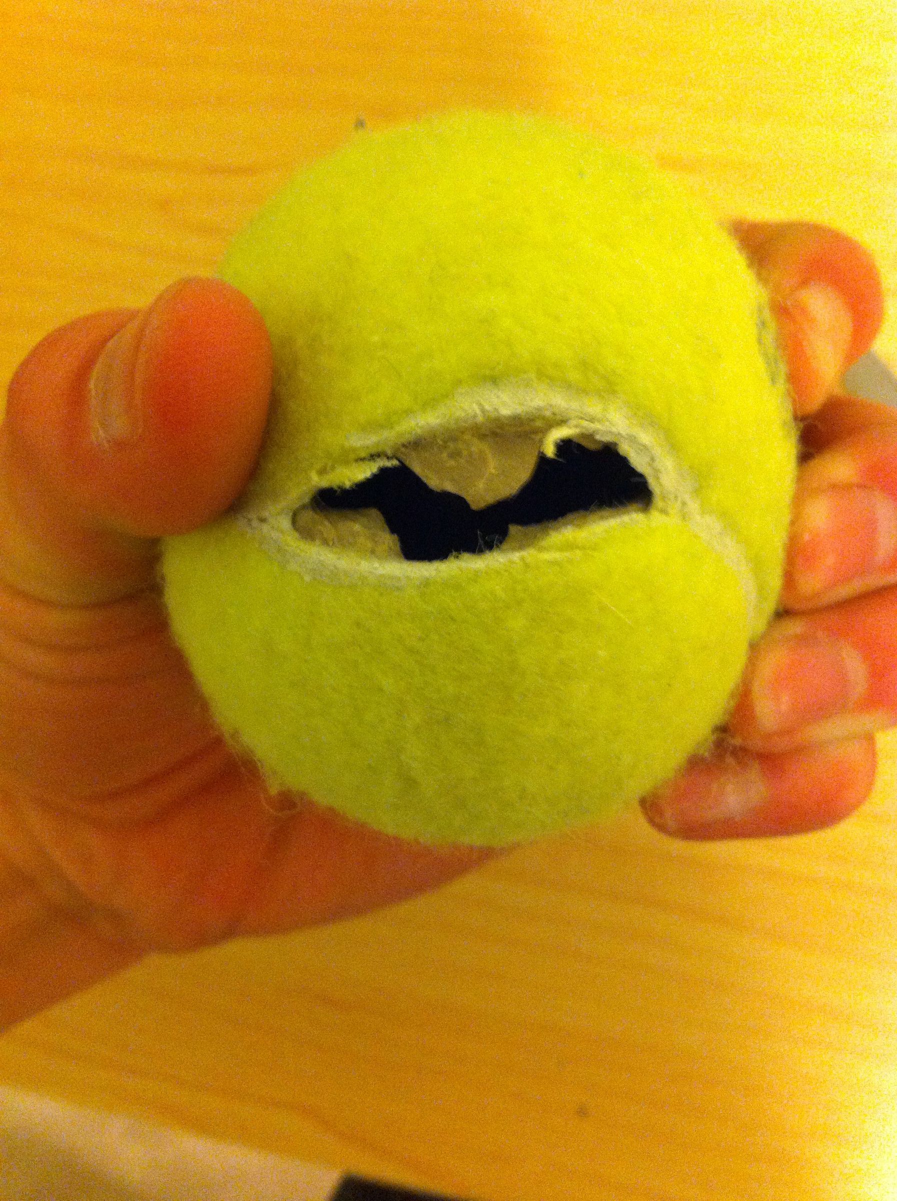Secret Tennis Ball Compartment 7 Steps Instructables