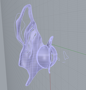  Construct the 3D Models and Improve Them Through Discussion