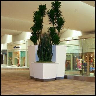Artificial Indoor Plants Saves Time and Leisure