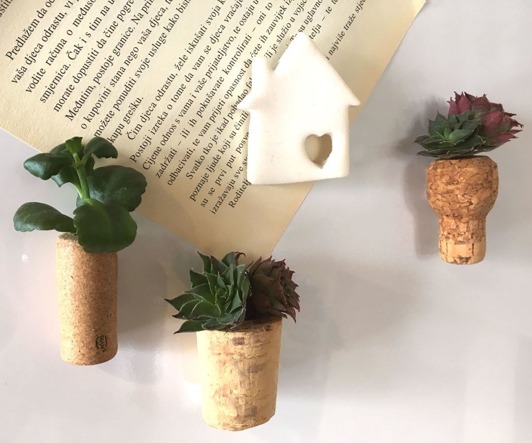 Succulent Wine Cork Magnets