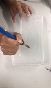 Prepare the Container