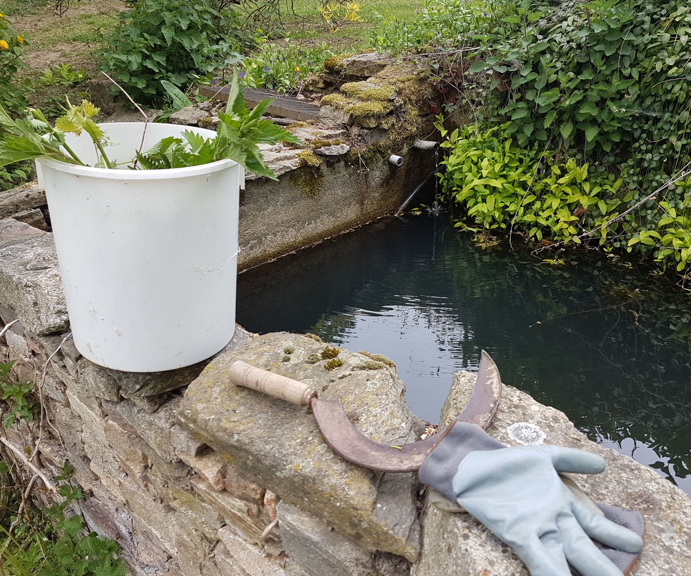 Organic Care of Your Garden: Manure, Maceration and Decoction (incl. Plants Chart)