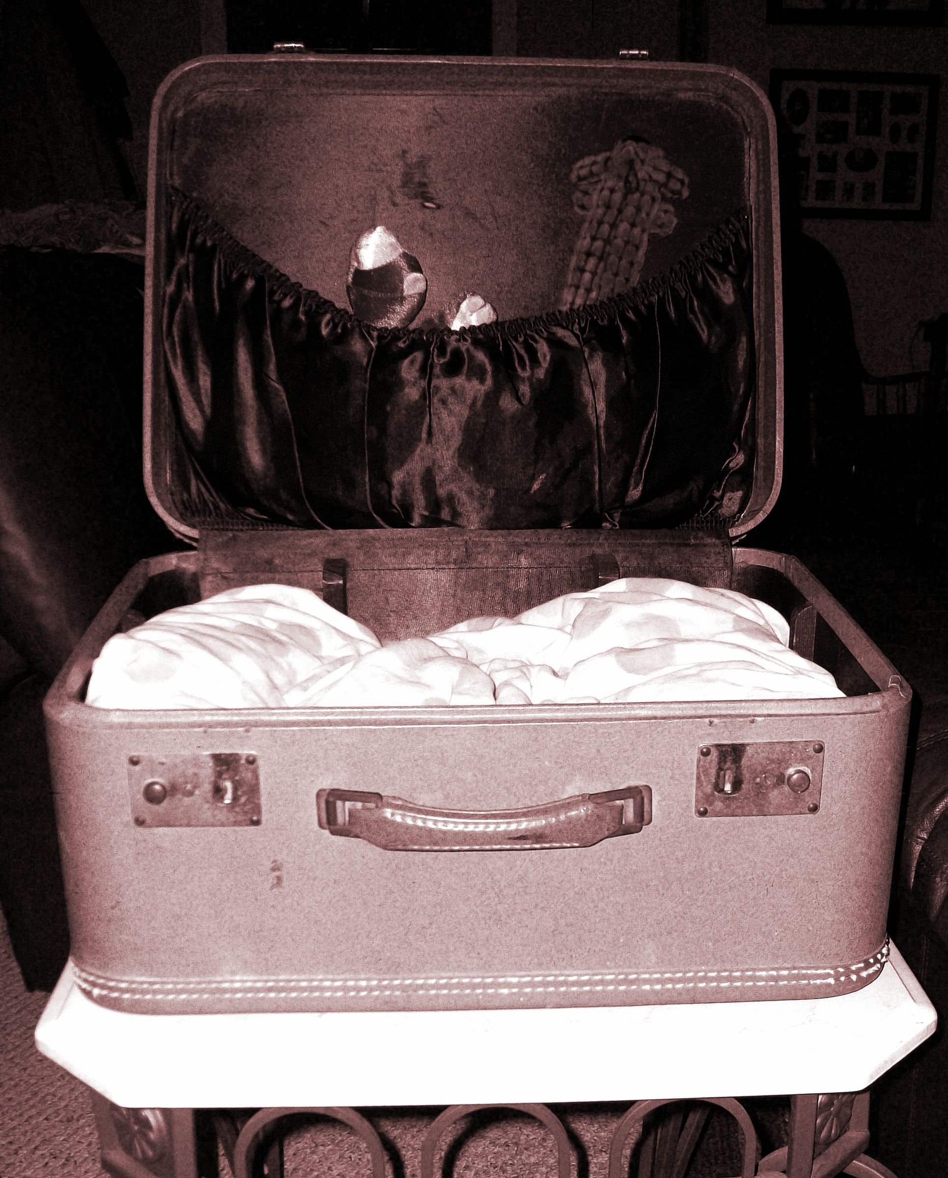Pet Bed From a Vintage Suitcase in 5 Minutes!