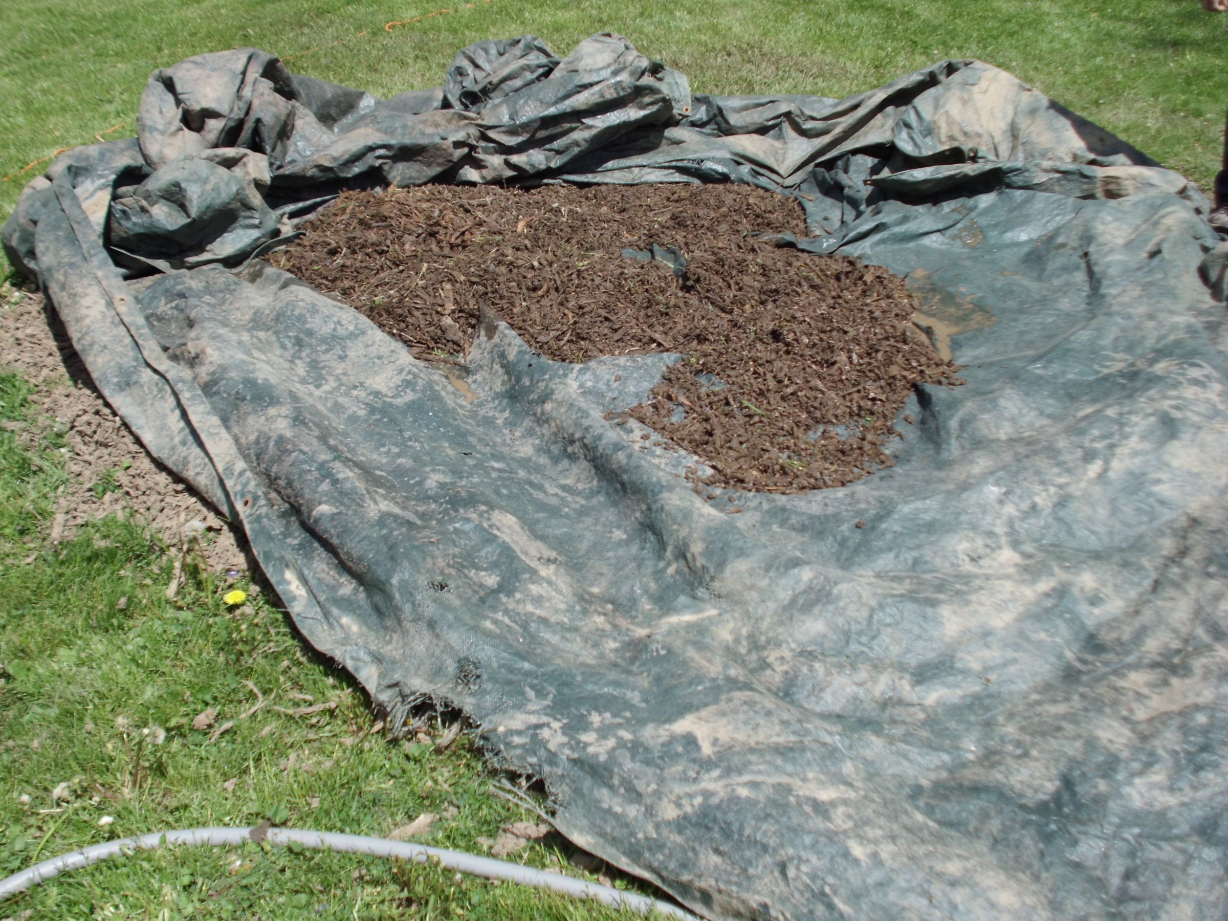 Make Your Own Mulch! (From a GroundUp Tree Stump) 7 Steps