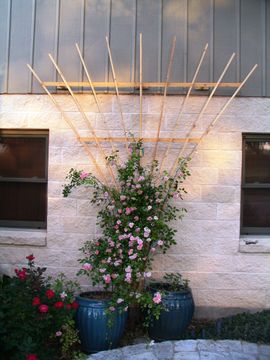 indoor plant pedestal stand 63
