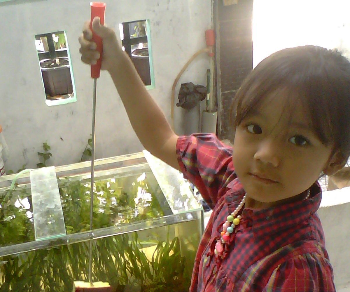 Super Cheap Aquarium Cleaner
