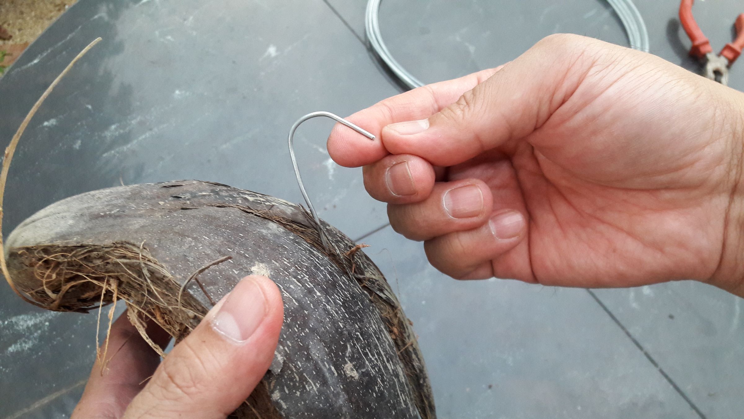 Coconut Husk Planter for Orchid 4 Steps (with Pictures) Instructables