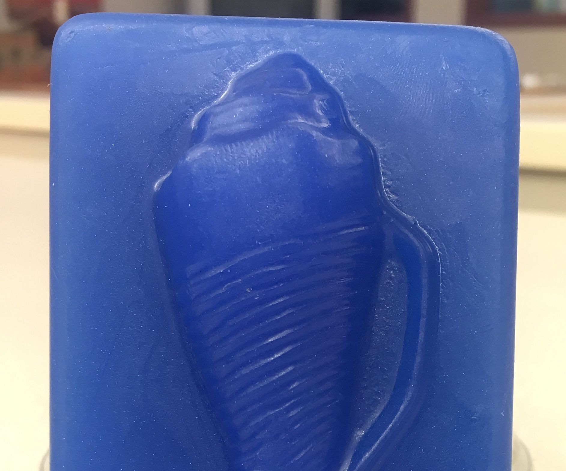 Hidden Key Soap