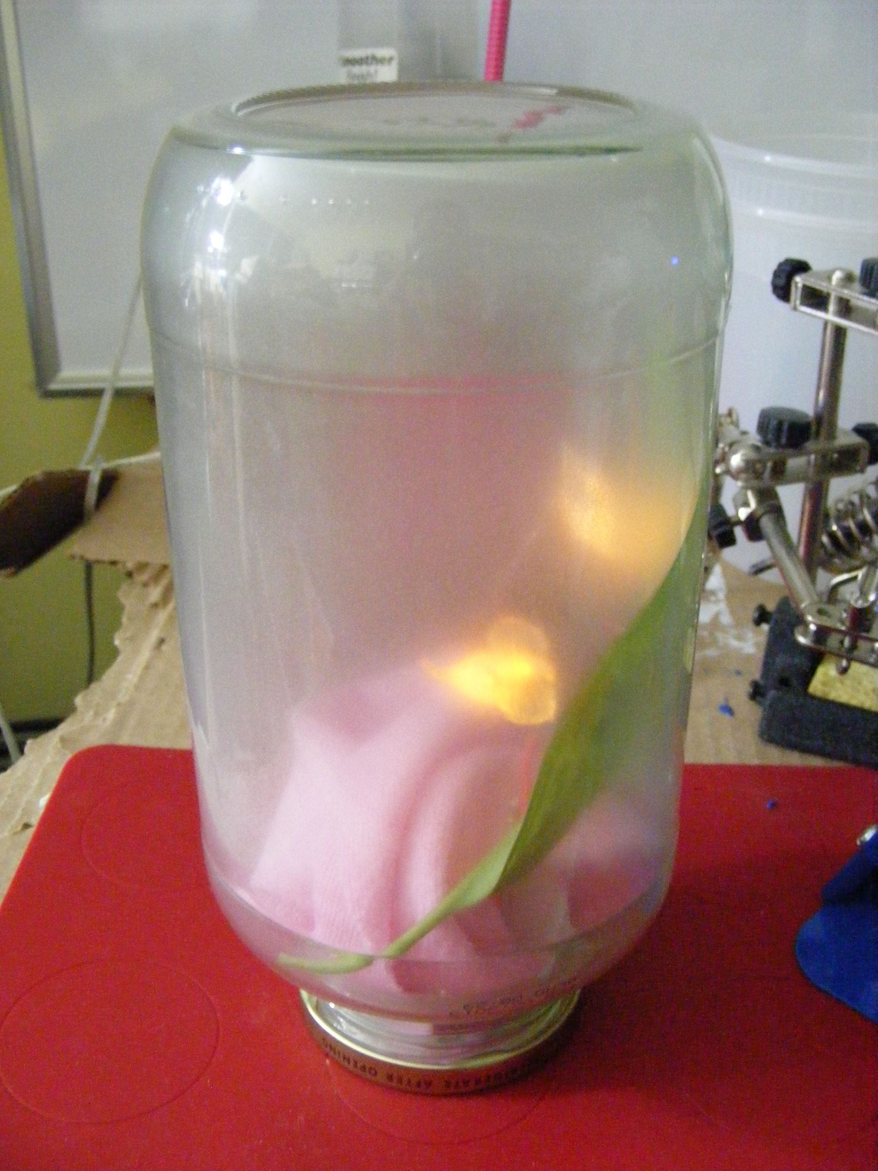 Lightning Bug Firefly Jar Centerpiece Favor - Yokozuna Righteous Jar of De Lite