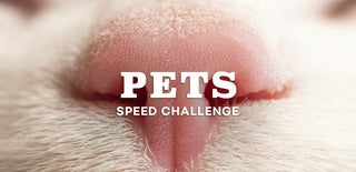 Pets Speed Challenge