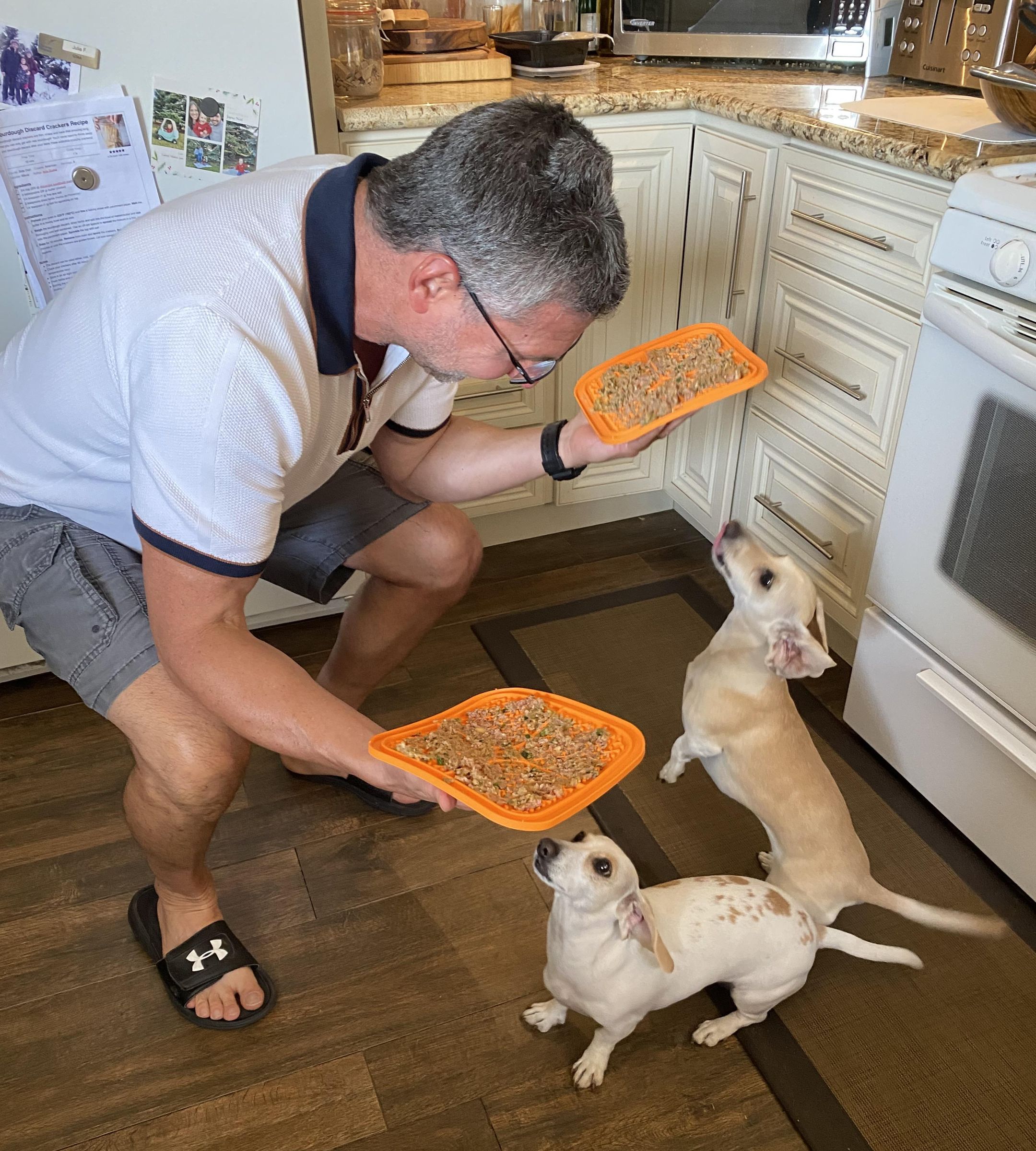 Dog Food – All Natural Ground Beef Sliders