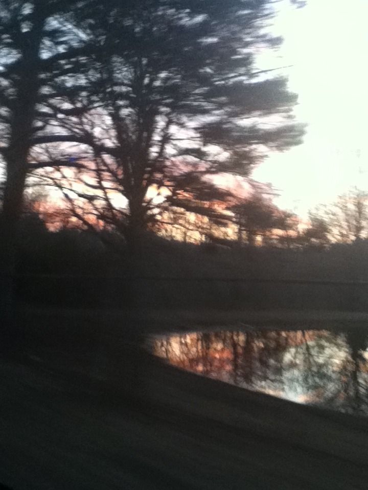 Taking Good Pictures