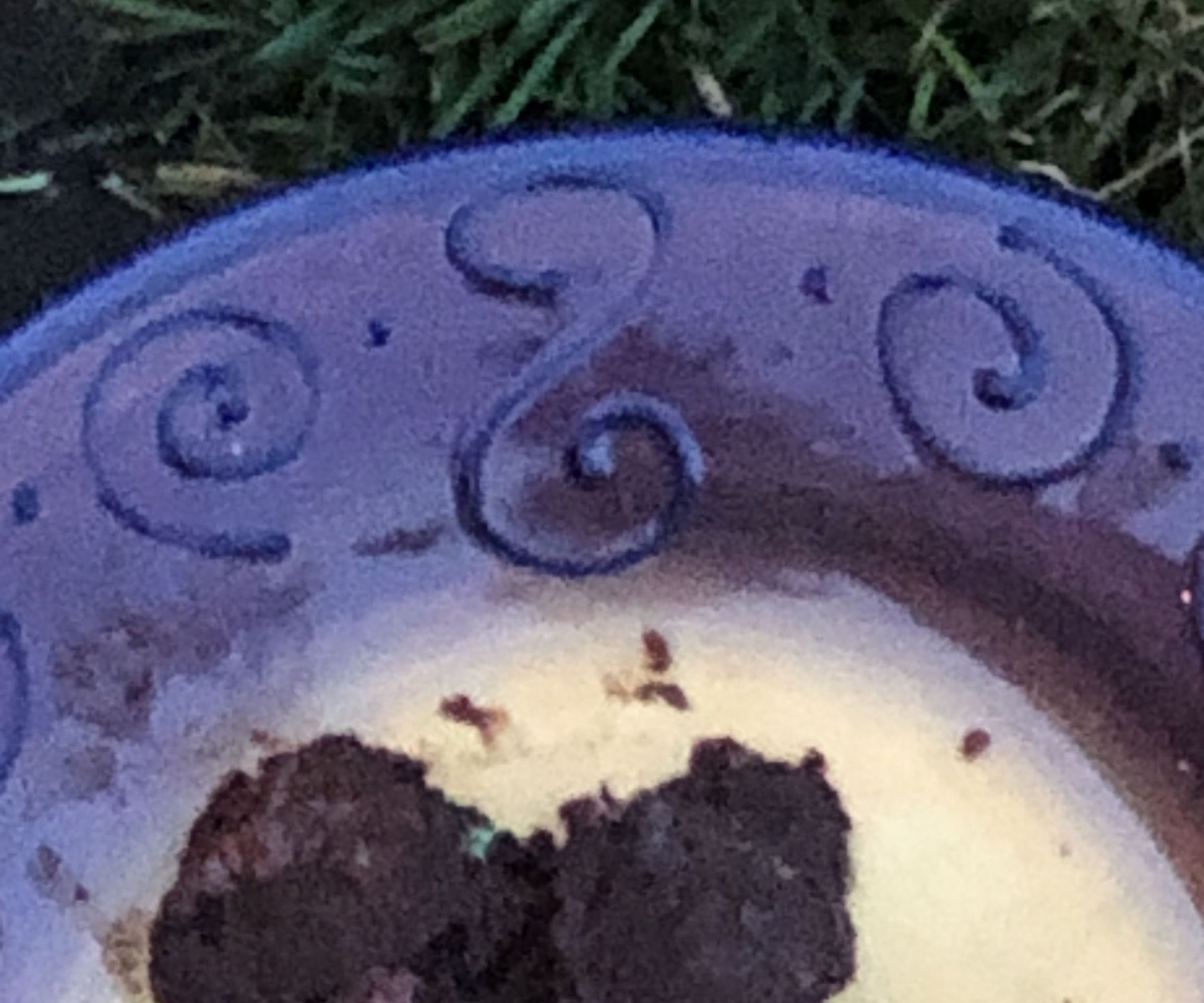 How to Bake Cookies While Outside