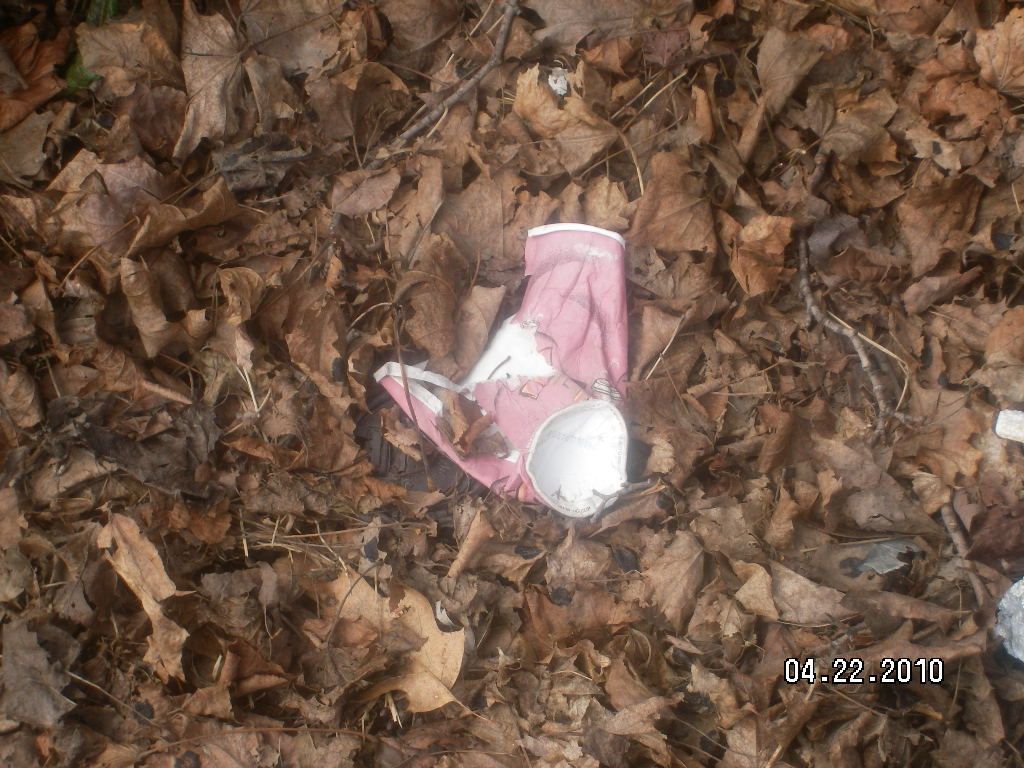 Finding the Domestic Paper Coffee Cup in the Wild