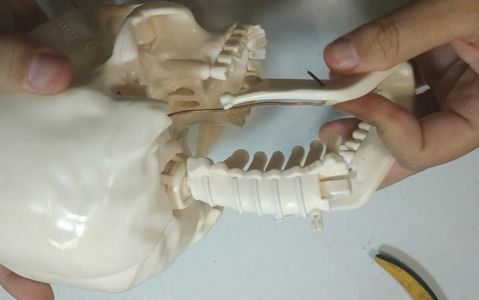 Animatronic Skull With Arduino : 7 Steps (with Pictures) - Instructables