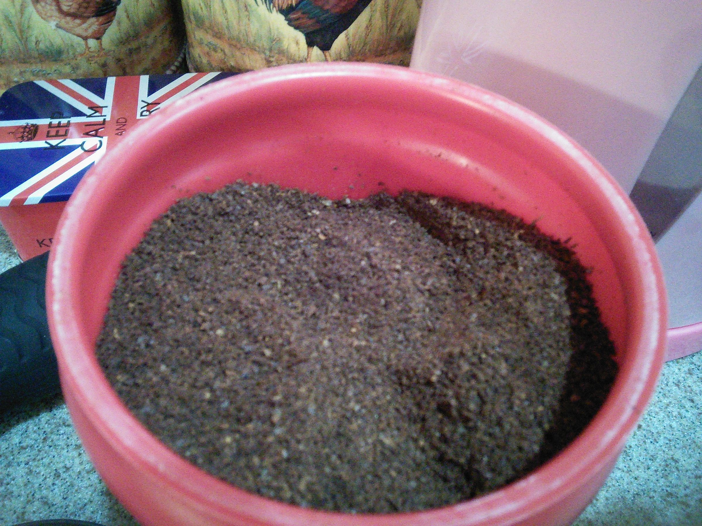 How to Use a Mr. Coffee French Press 9 Steps Instructables