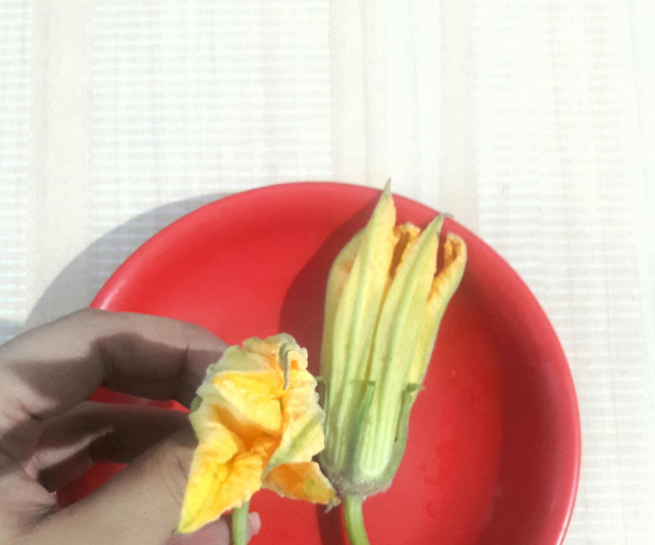 Delicious Pumpkin Flowers Fried in Gram Flour.